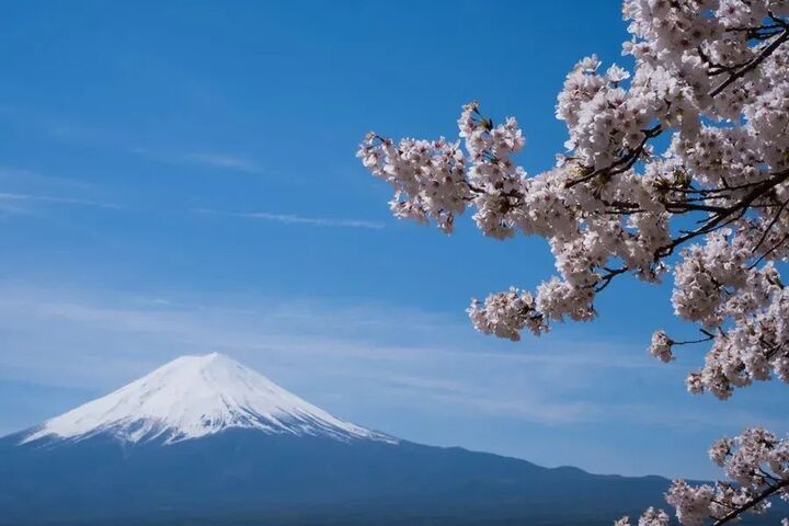 揭秘！娇子青海湖纯净探索独特烟草文化与创新工艺的融合